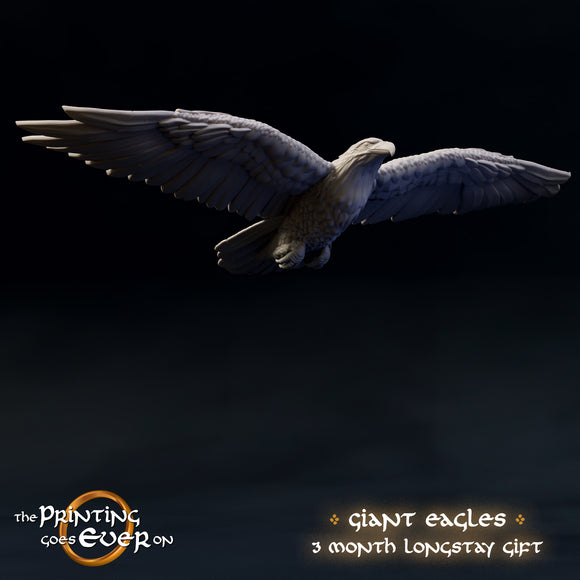 Giant Eagle Flying - The Printing Goes Ever On - Great for use with MESBG, D&D, RPG's....