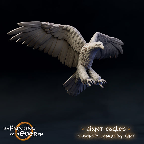 Giant Eagle Swooping - The Printing Goes Ever On - Great for use with MESBG, D&D, RPG's....