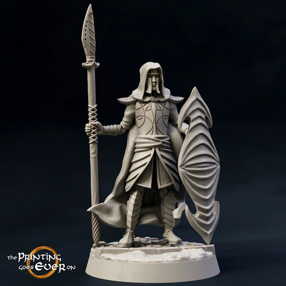 Elven Guard - The Printing Goes Ever On - Great for use with MESBG, D&D, RPG's....