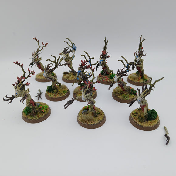 Age of Sigmar - Sylvaneth - Dryads - well painted #18944