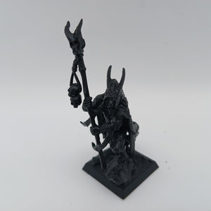 Age Of Sigmar - Beastman Shaman #19029