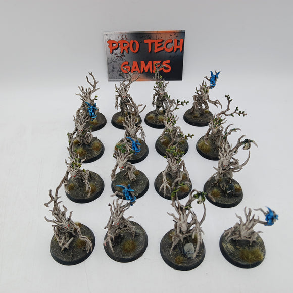 Age of Sigmar - Sylvaneth - Dryads #21984