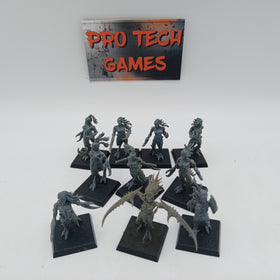 Age of Sigmar: Slaanesh: Daemonettes #25293