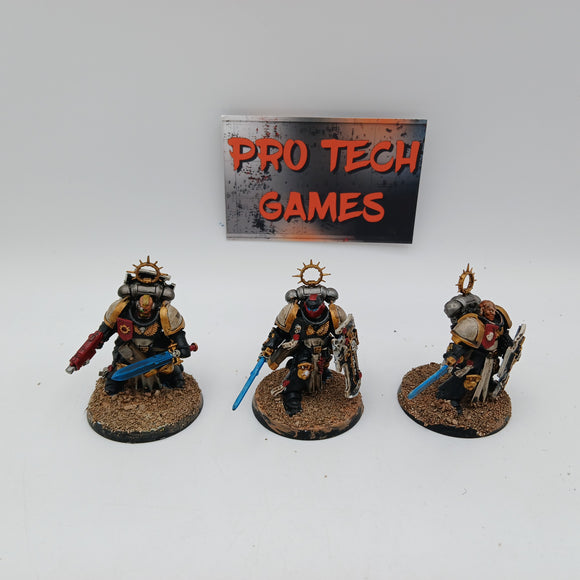 Space Marines - Black Templars - Bladeguard Veteran Squad - Painted - #25830