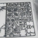 Stormcast Eternals - Lord-Celestant on Stardrake - #26368-2