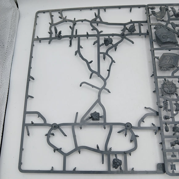 Stormcast Eternals - Lord-Celestant on Stardrake - #26368