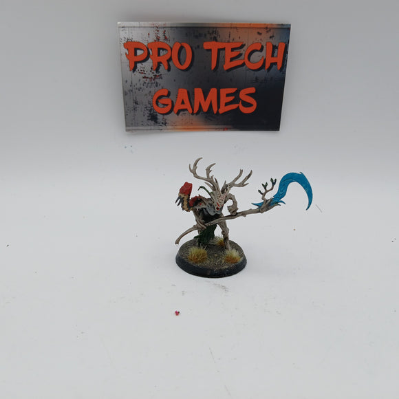 Sylvaneth - Branchwych - #27103