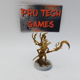 Sylvaneth - Branchwych - #27102