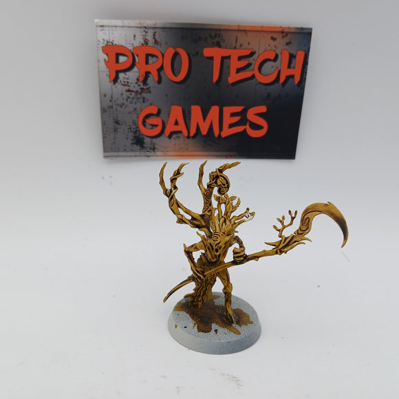 Sylvaneth - Branchwych - #27102