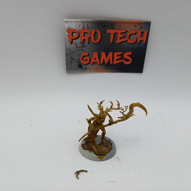 Sylvaneth - Branchwych - #27094