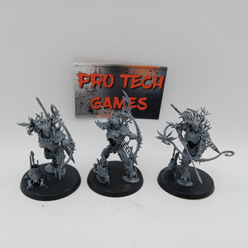 Sylvaneth - Kurnoth Hunters - #27743