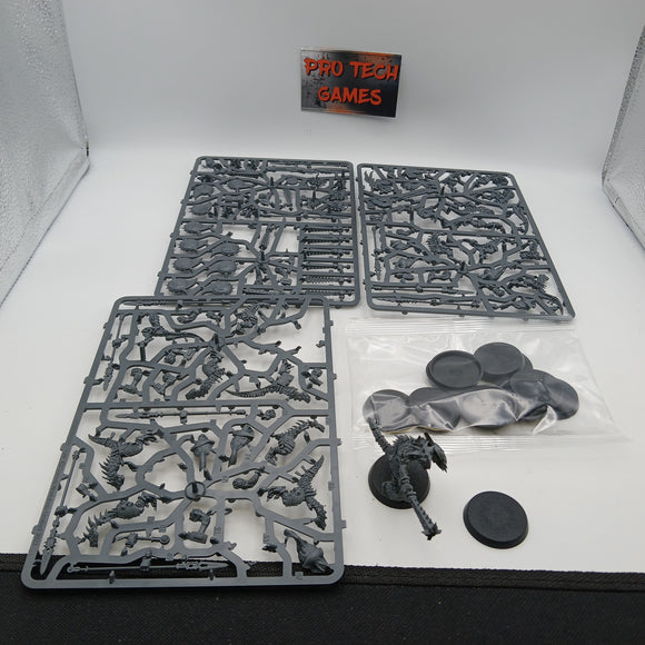 Seraphon - Sarus Warriors - #28482