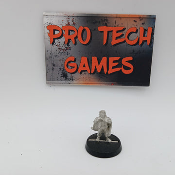 MESBG - Frodo - #28893