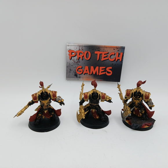 Adeptus Custodes - Allarus Custodians - 28995