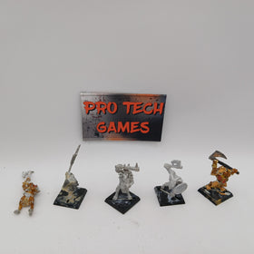 The Old World - Metal - Beastmen - #29176