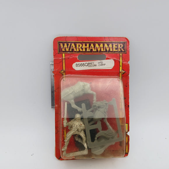 Bretonnian - Squire Mounted Champion Blister - #29110
