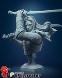 Drizzt Do'Urden - Dungeons & Dragons - Resin Statue - Display Figurine