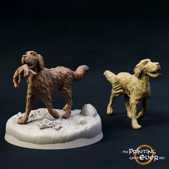 Dogs - The Printing Goes Ever On - Great for use with MESBG, D&D, RPG's....