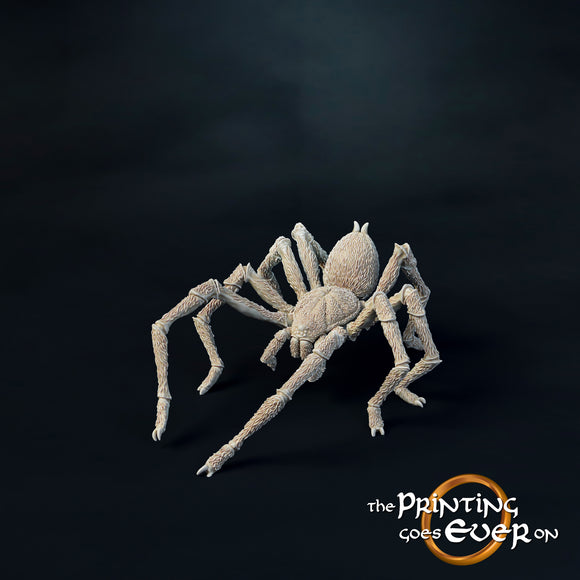 Spider Large C - The Printing Goes Ever On - Great for use with MESBG, D&D, RPG's....