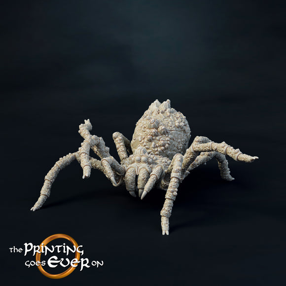 Spider Large B - The Printing Goes Ever On - Great for use with MESBG, D&D, RPG's....