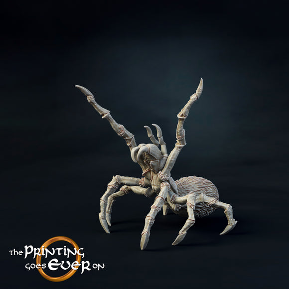Spider Large E - The Printing Goes Ever On - Great for use with MESBG, D&D, RPG's....