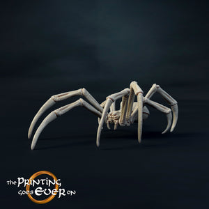 Spider Medium A - The Printing Goes Ever On - Great for use with MESBG, D&D, RPG's....