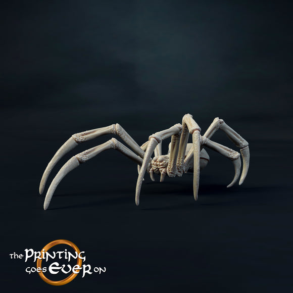Spider Medium A - The Printing Goes Ever On - Great for use with MESBG, D&D, RPG's....