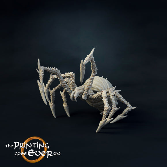 Spider Small B - The Printing Goes Ever On - Great for use with MESBG, D&D, RPG's....