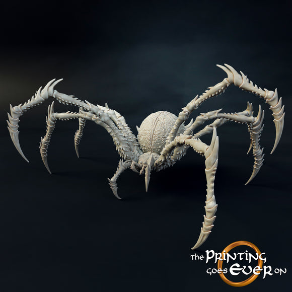 Spider Brood Mother - The Printing Goes Ever On - Great for use with MESBG, D&D, RPG's....