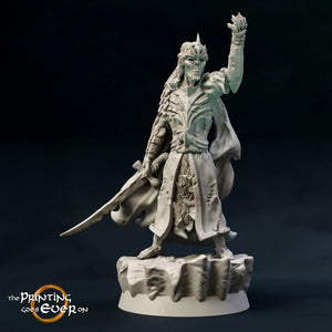 Wight Prince - The Printing Goes Ever On - Great for use with MESBG, D&D, RPG's....